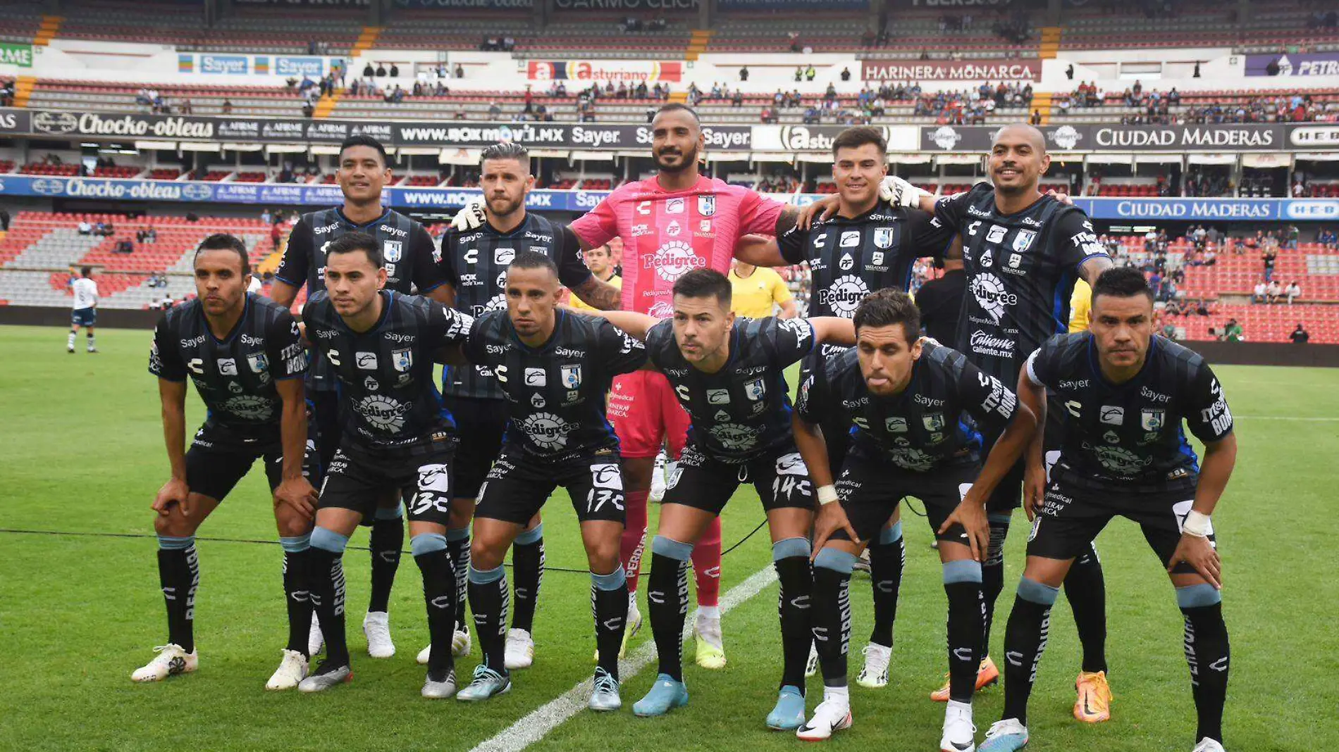 gallos blancos